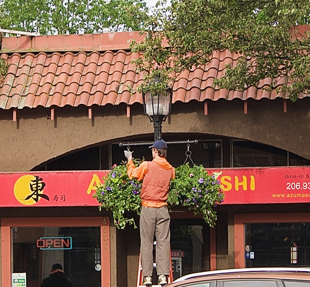 The flower baskets are up in the Junction; Floral displays will last